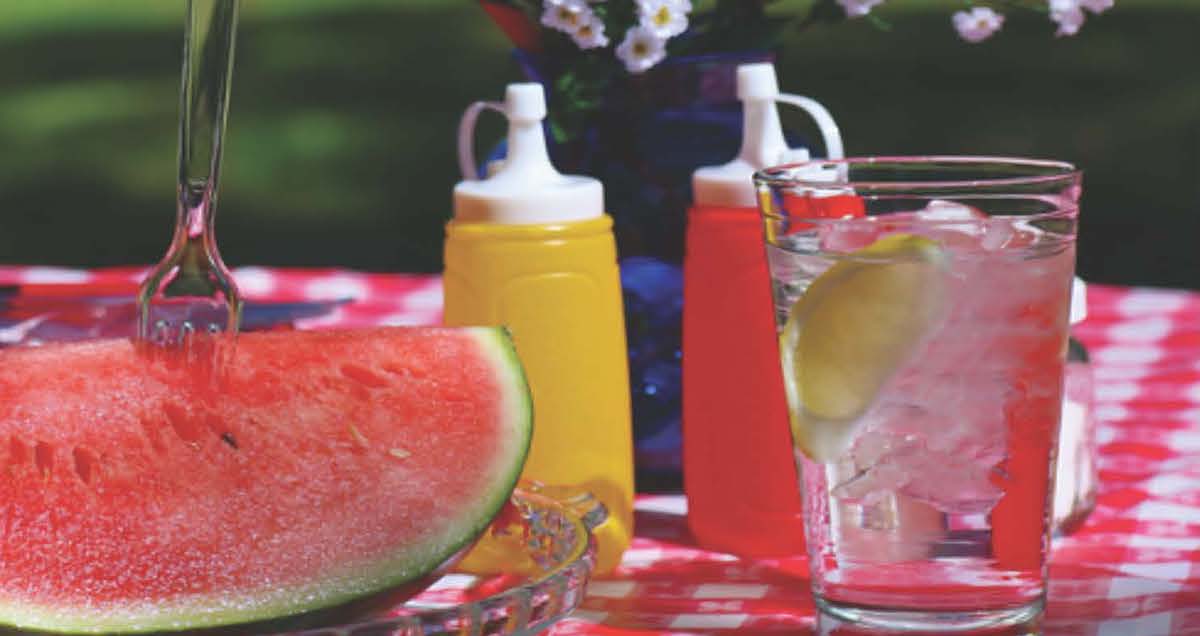 GDREIA Picnic